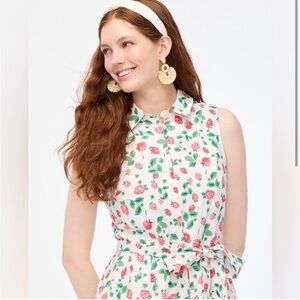 J Crew Factory strawberry print collared dress
